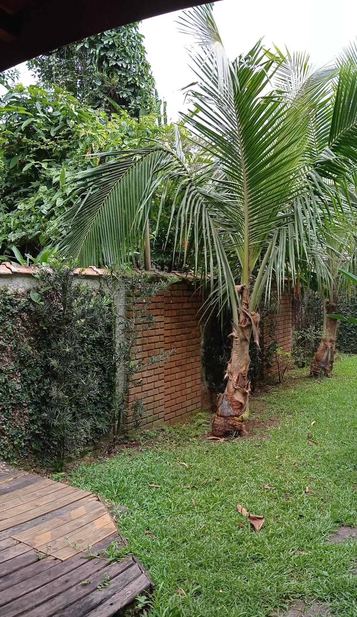 Casa Dos Coqueiros Praia De Camburi, Condominio Camburi  Exteriör bild